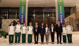 澳门政府最新爆料新闻,揭秘重大事件背后真相